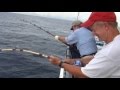 39 Hour Overnight Deep Sea Fishing Trip Hubbard's Marina Johns Pass http://www.HubbardsMarina.com