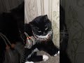 НАКОНЕЦ - ТО Я ПОНЯЛА