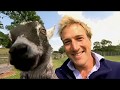 Animal Park: Season 7 Episode 13 (Wildlife Documentary) | Full Documentary