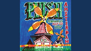 Video thumbnail of "Phish - Strange Design"