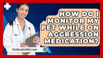 How Do I Monitor My Pet While On Aggression Medication? - PetGuide360.com
