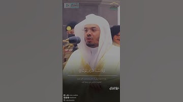 ﴿وننزل من القرآن ما هو شفاء ورحمة﴾ #ياسر_الدوسري #سورة_الإسراء #القرآن_الكريم #مزامير_الفرقان