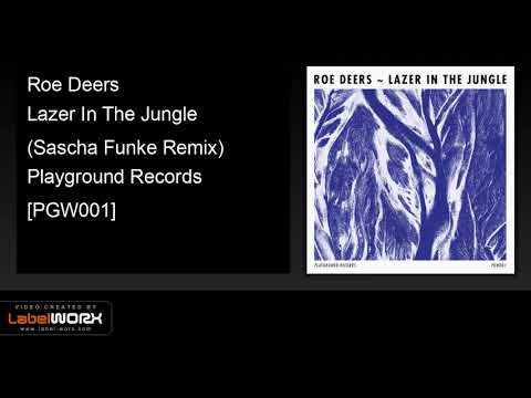 Roe Deers — Roe Deers - Lazer In The Jungle (Sascha Funke Remix) [Playground Records]