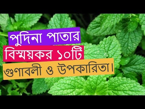 ভিডিও: আমাদের মিন্ট কি ছিল?