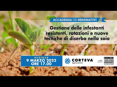 Video: Cauzione cambiale. Tipi e regole per l'emissione di cambiali