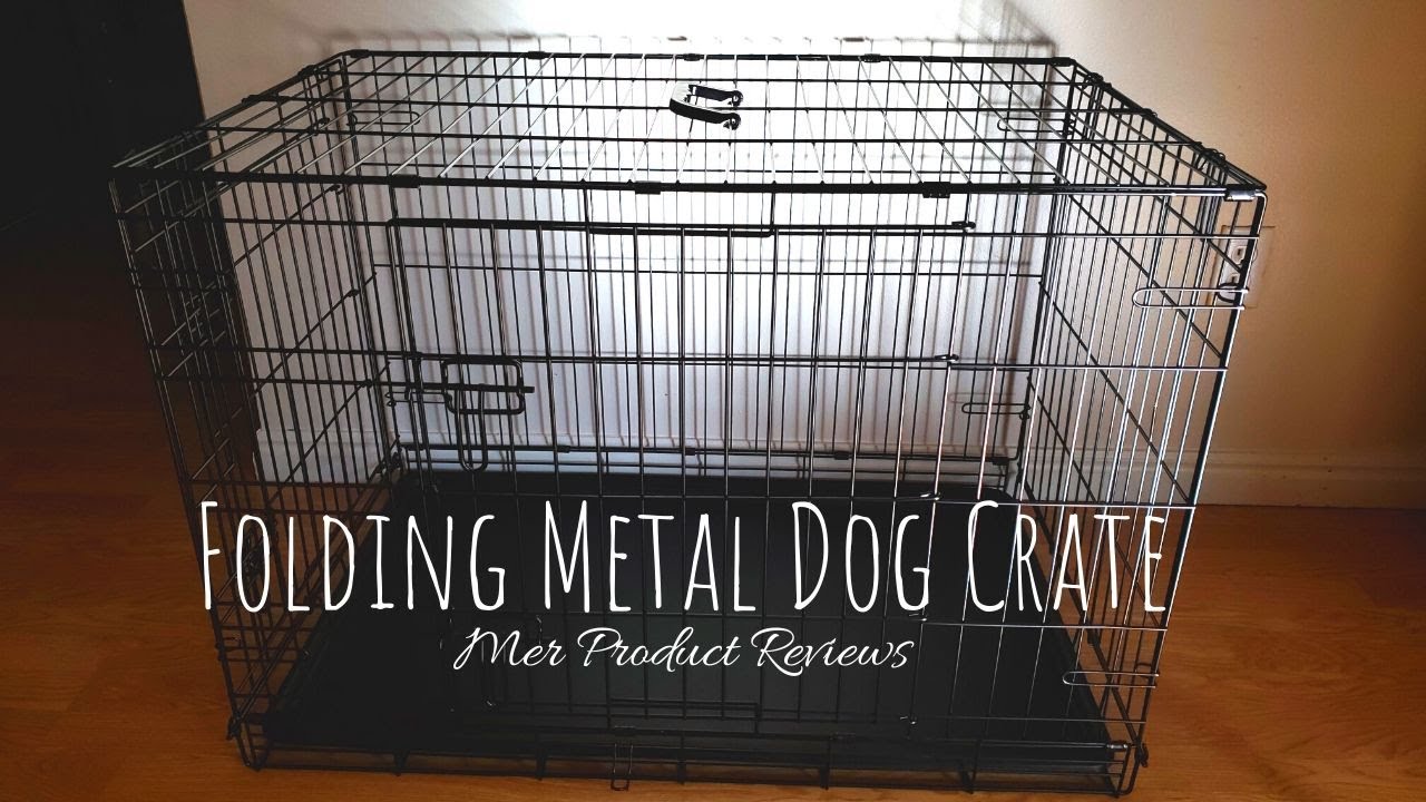 Basics Single Door & Double Door Folding Metal Dog Crate 