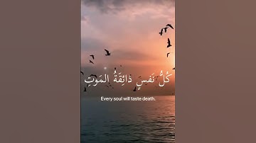 لا تقاطع القران الكريم استمع للقران الكريم احترم القران الكريم🩷🩷🩷