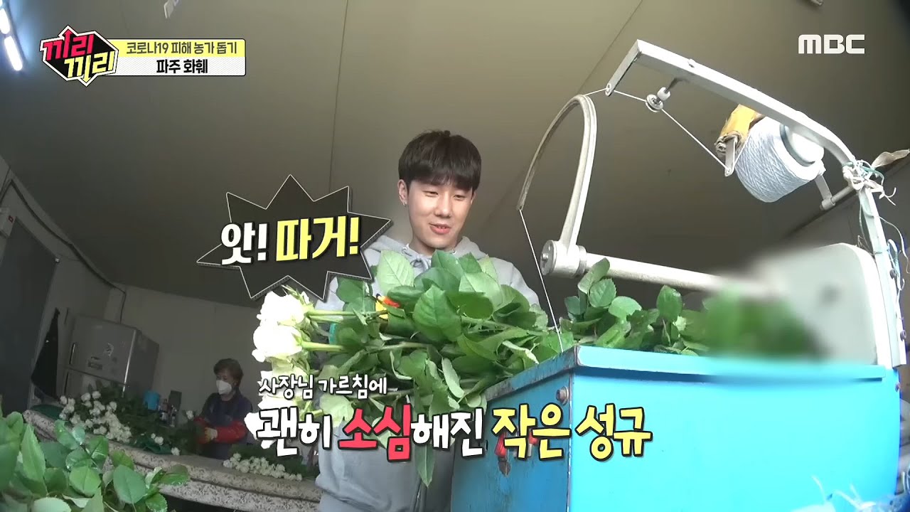 [끼리끼리] 장미X성규X지원의 공통점 = 방심하면 나한테 꽂혀.. 20200426