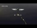 Robotic insect worlds smallest flying robot takes off  2013