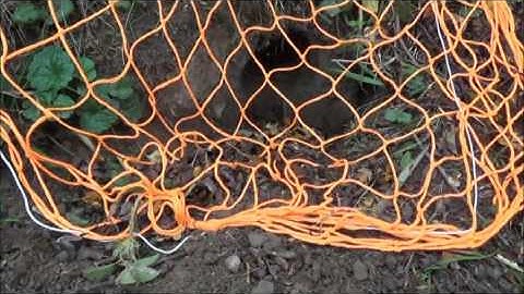 How to set a Rabbit Purse Net