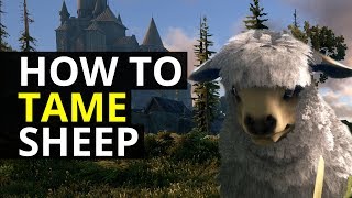 Dark and Light - How To Tame Sheep (DNL Guide)