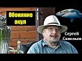 С.В. Савельев об обо­нянии акул