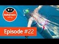 Bubamara sailing. episode #22. Большая прогулка с командой Б