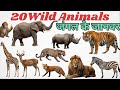 जंगली जानवर के नाम | 20 Wild Animals for Kids | Learn Animal Names in English with Sound & Fun