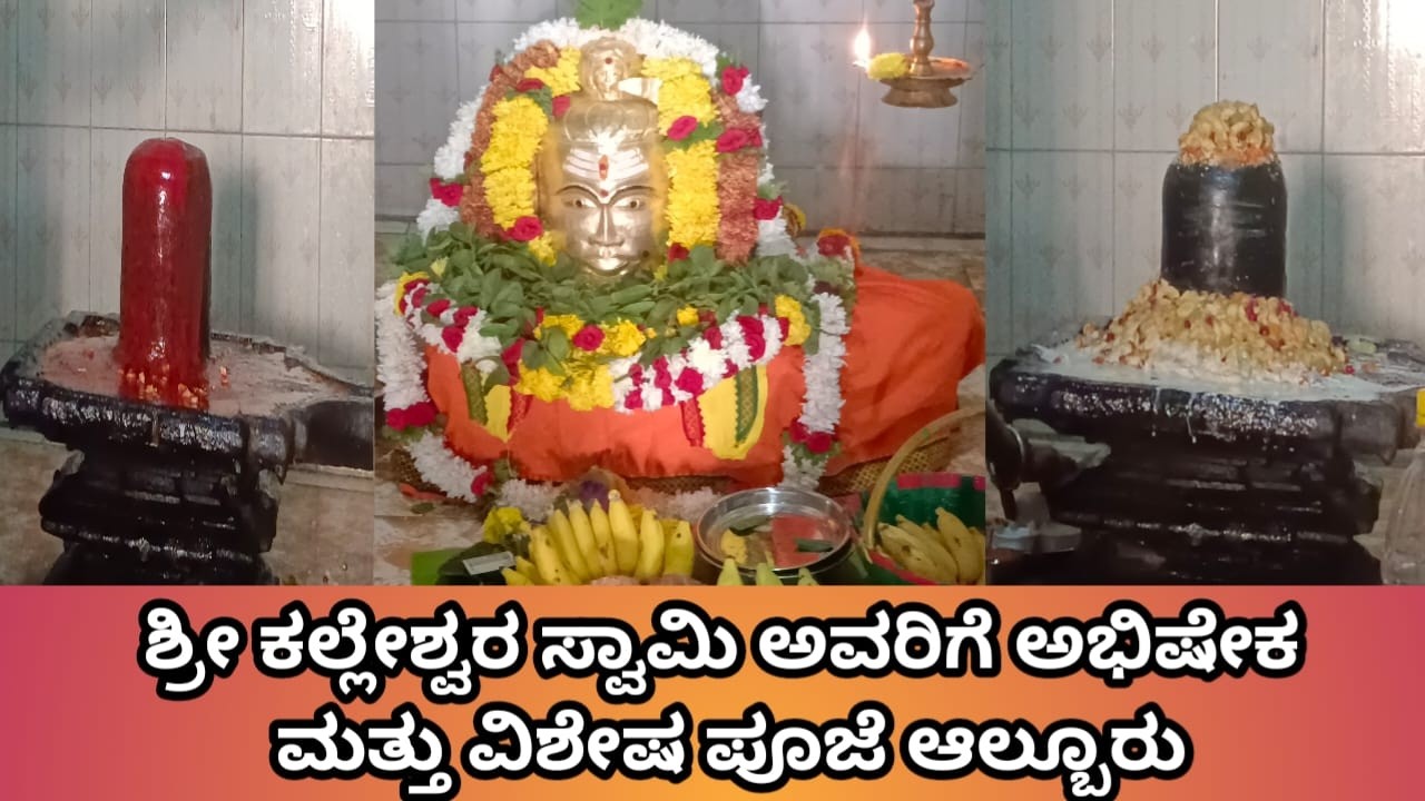 ಶ್ರೀ ಕಲ್ಲೇಶ್ವರ ಸ್ವಾಮಿ ಅವರ ಅಭಿಷೇಕ ಮತ್ತು ವಿಶೇಷ ಪೂಜೆ ಆಲ್ಬೂರು