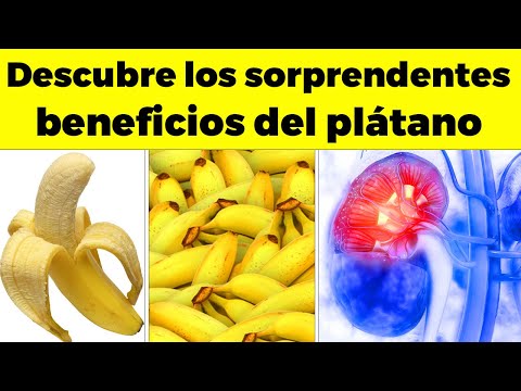 La Guía de las Vitaminas