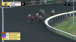 Vidéo de la course PMU MAIDEN SPEICAL WEIGHT