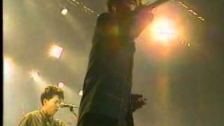 ザ･ブーム　都市バス　Live