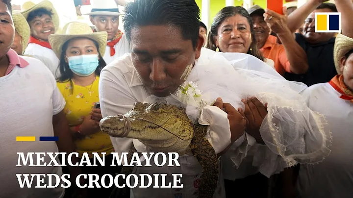 Mexican mayor weds crocodile in indigenous ritual for abundance - DayDayNews