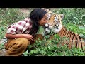 5 Unbelievable Animals That Saved People&#39;s Lives