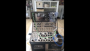 T-Rex Replicator Improvisation 02: Subharmonicon