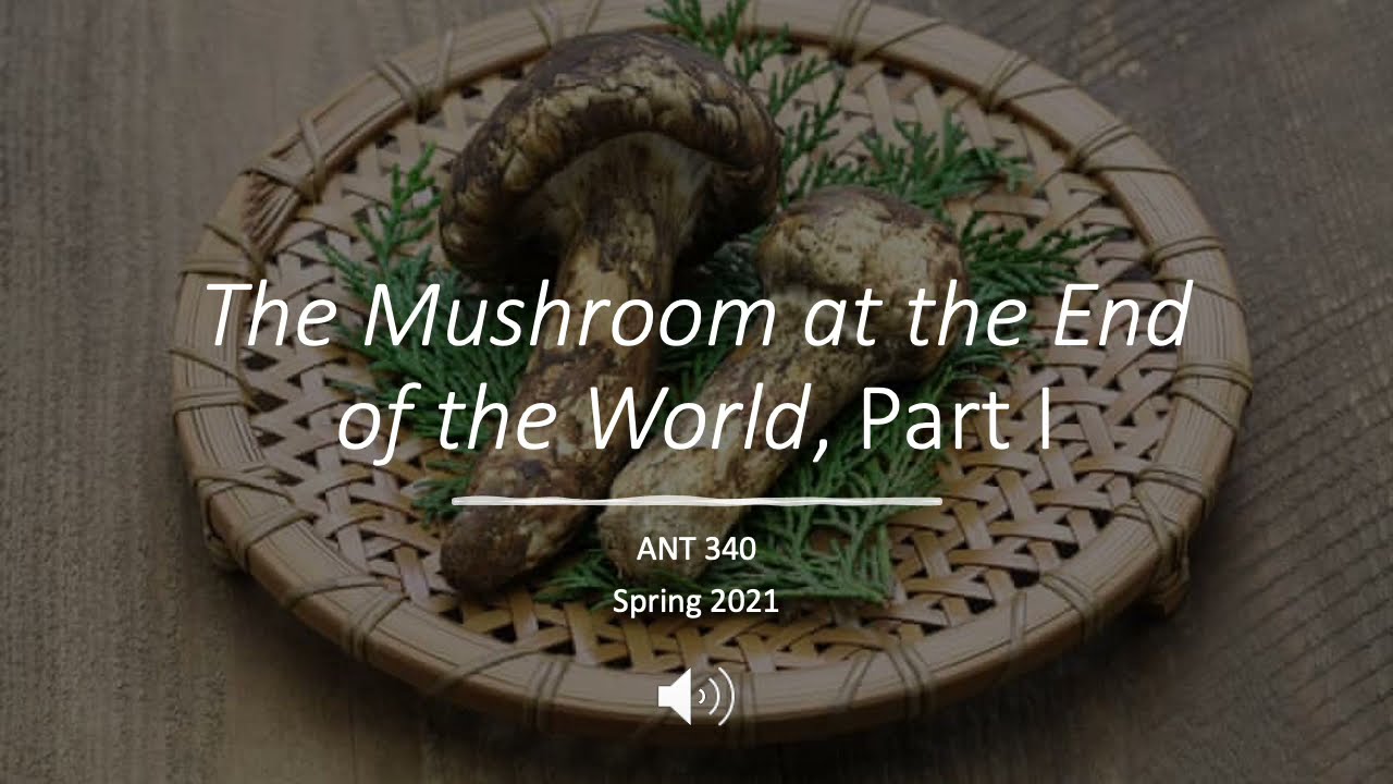 3/29/21 Mushroom at the End of the World pt 1