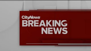 Toronto city council votes against cutting 2021 police budget