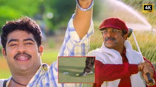 న గడ చపపడ మద నవవ చయయశవ..ఆ చపపడ శత తపపత Simhadri Movie Scenes