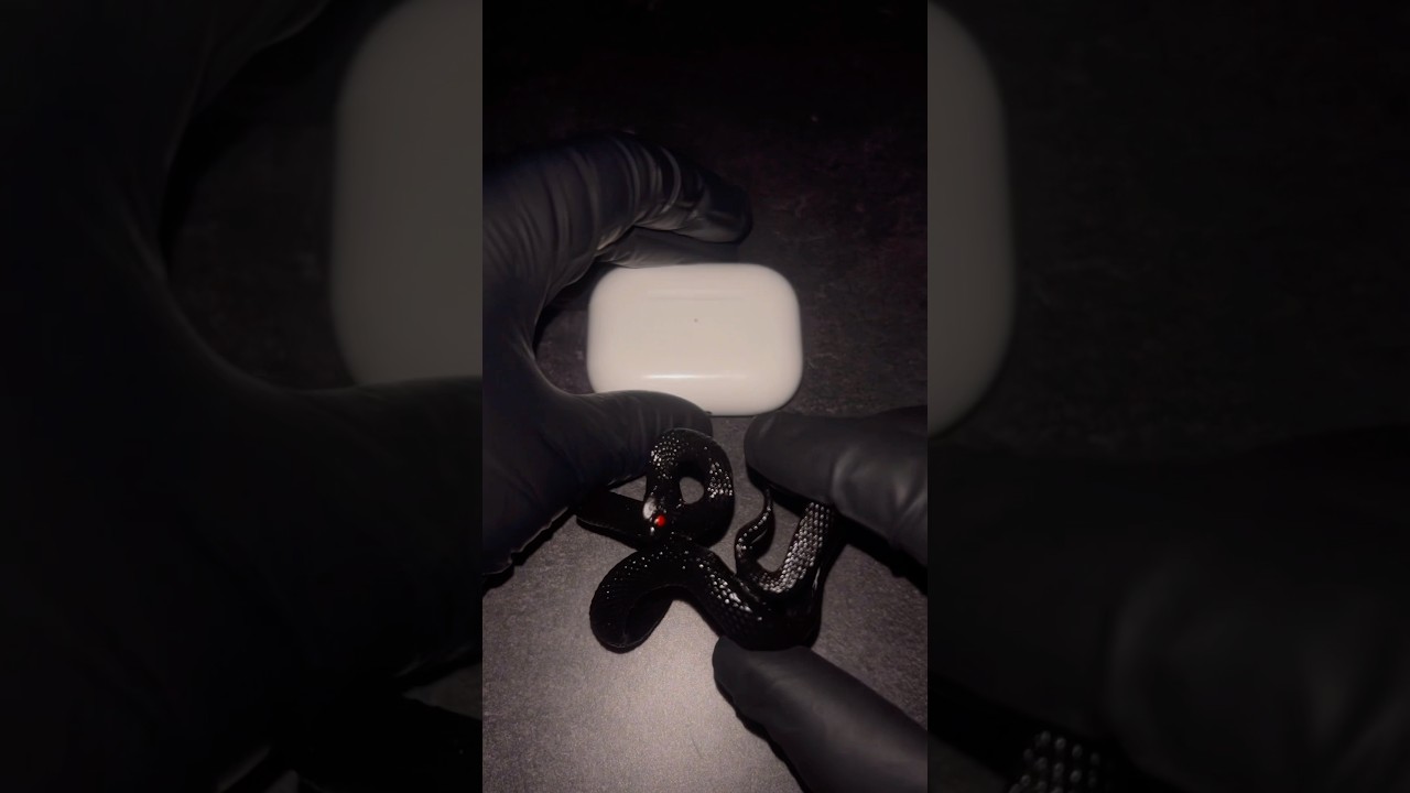 AirPod Aura Case😈🐍 