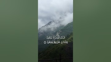 قراءة مشتركة مع أخينا الشيخ رعد الكردي من سورة يونس الآية ٧-١٢ #quran #قرآن
