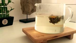 Blooming Tea Time-Lapse