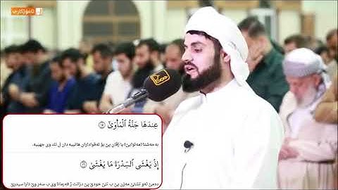 شيخ رعد الكردي سورة '' النجم ''