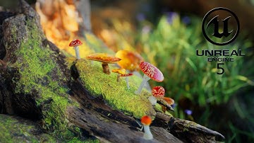 Unreal Engine 5 Cinematic Environment II Mushroom in forest