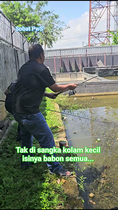 sarang ikan surga nya pemancing #mancingmania
