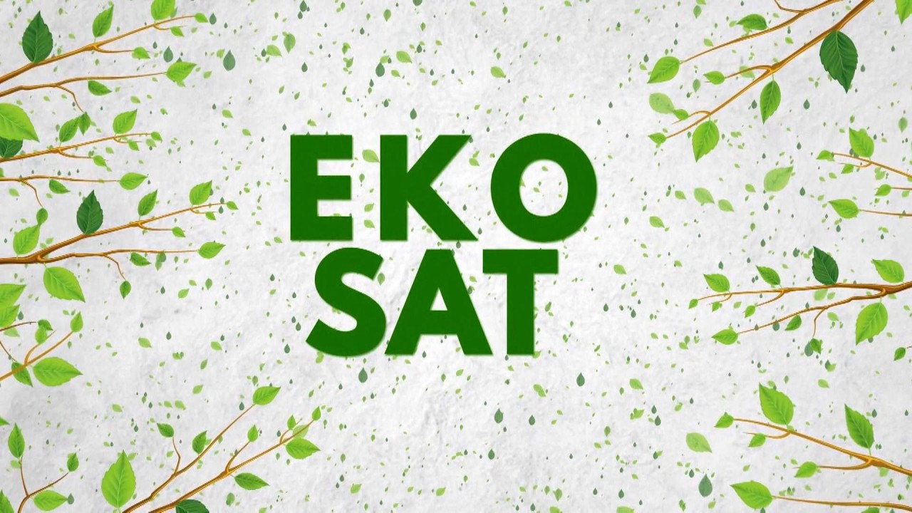 Uklanjanje kruksa i žive iz kruga HAK a u Tuzli