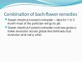 Bach flower remedies combination by  dr v krishnamurthy