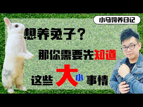 新手养兔前需要知道的问题    |   我的饲养日记   |   Fire小马