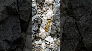 Gold Veins Hidden in Solid Rock🔥|Satisfying ASMR | Breaking Rocks to Reveal Natural Gold✨#goldrush