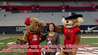University of Arizona International Wildcat Pep Rally screenshot 2