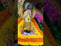 💗🌹श्री श्याम दरबार (जमशेदपुर) के आज के अलौकिक दर्शन🌹💗05/05/2026 #shortsviral#trending #jaishreeshyam