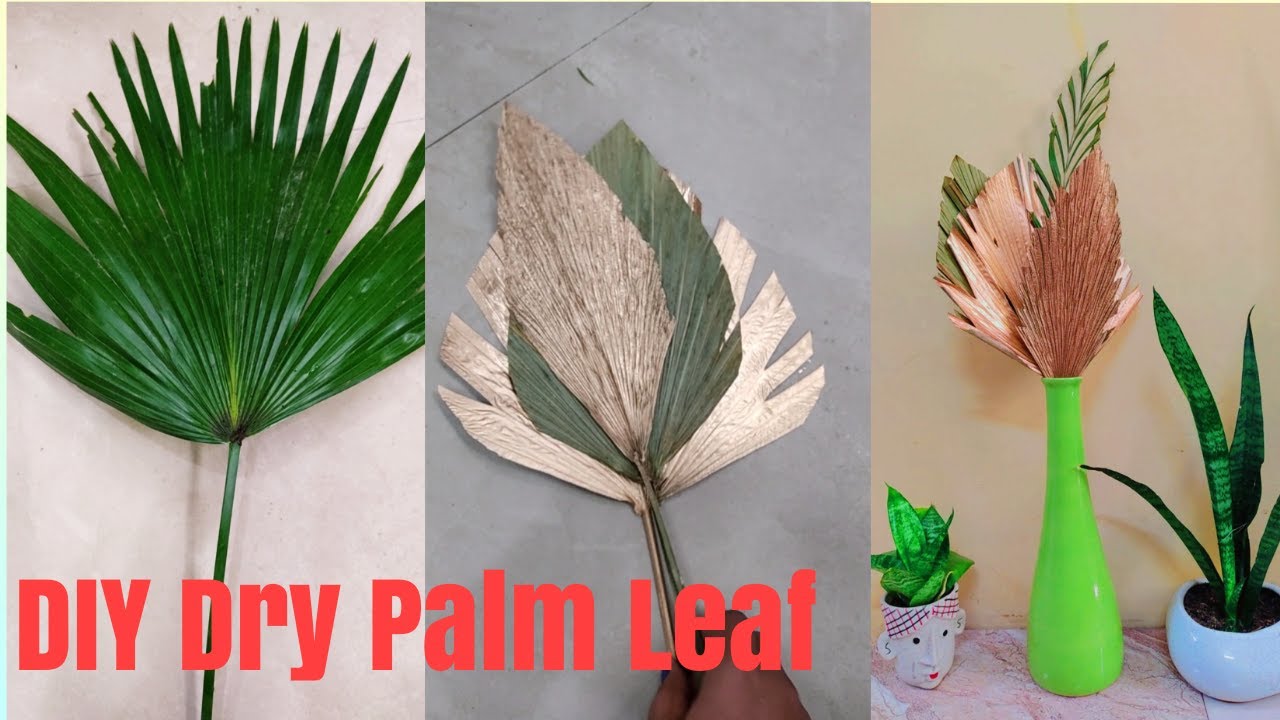 DIY || DRIED PALM LEAF || No cost Home Decor || Dry Leaf Craft || Palm🌴 Leaf🍃