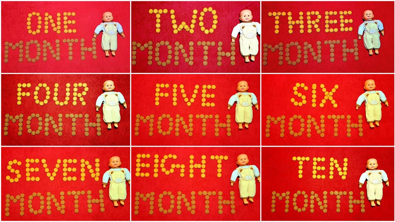 1 - 12 months Biscuit theme baby photoshoot ideas || baby monthly photoshoot | baby photoshoot ideas