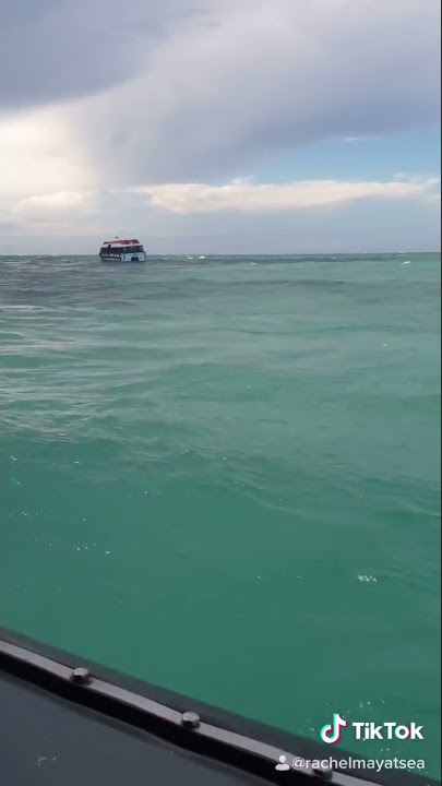 Life at Sea - Difference between Waves and Swell