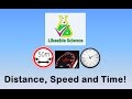 Understanding Speed, Distance, and Time