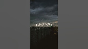 مَّن كَانَ یُرِیدُ ٱلۡعَاجِلَةَ عَجَّلۡنَا لَهُۥ﴾ [الإسراء ١٨] القارئ : ماهر المعيقلي