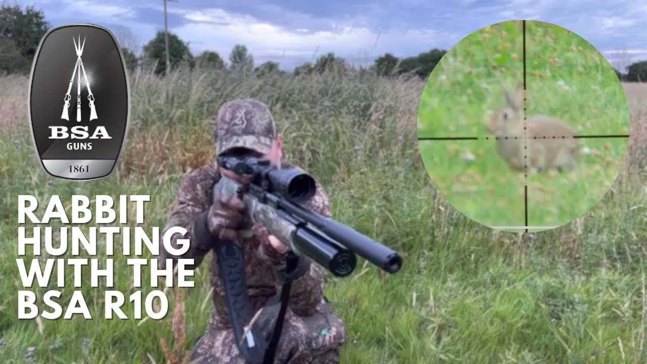 Airgun Hunting Rabbits with the BSA R10 carbine in 22 cal part 2 - YouTube
