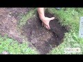 Improving Your Soil