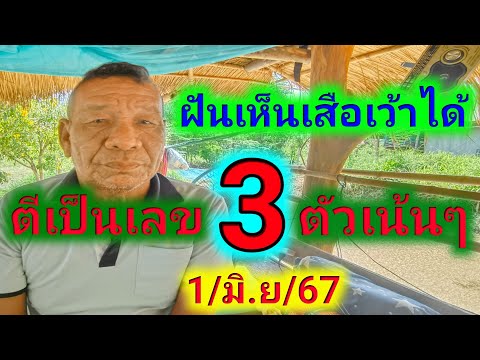 ฝันเห็นเสือเว้าได้ ตีเป็นเลข3ตัวเน้นเน้น