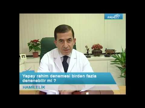 Yapay Rahim Denemesi Birden Fazla Denenebilir Mi