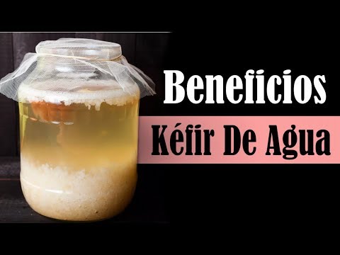 Kéfir De Agua - Beneficios, Valor Nutricional Y Precauciones